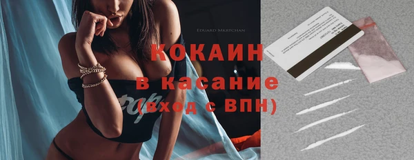 гидра Магас