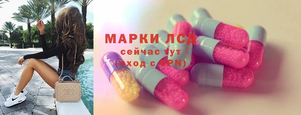 гидра Магас