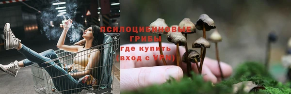 PSILOCYBIN Лиски