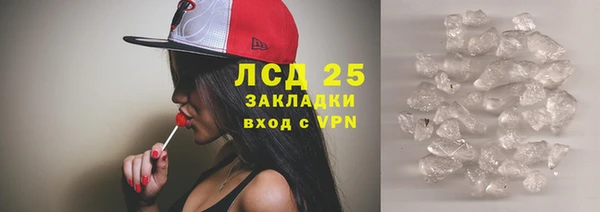 крисы Липки