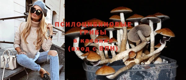 PSILOCYBIN Лиски