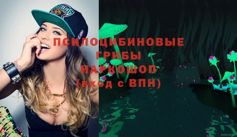 Псилоцибиновые грибы Magic Shrooms  как найти   Поворино 