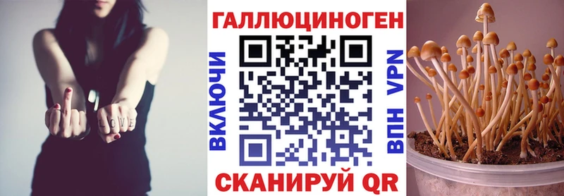 Псилоцибиновые грибы мухоморы  Поворино 