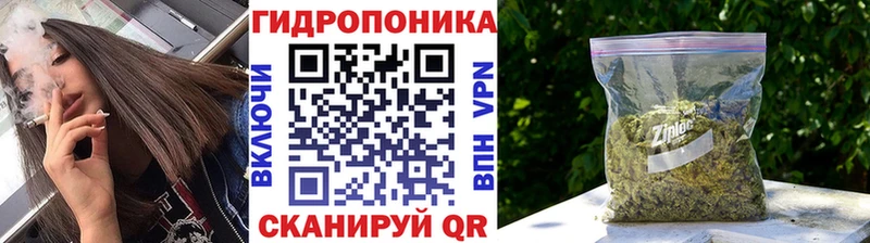 mega онион Поворино Марихуана Amnesia